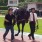 競馬の凡人